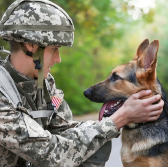 Thank you for your service! - Picture 4 of 6